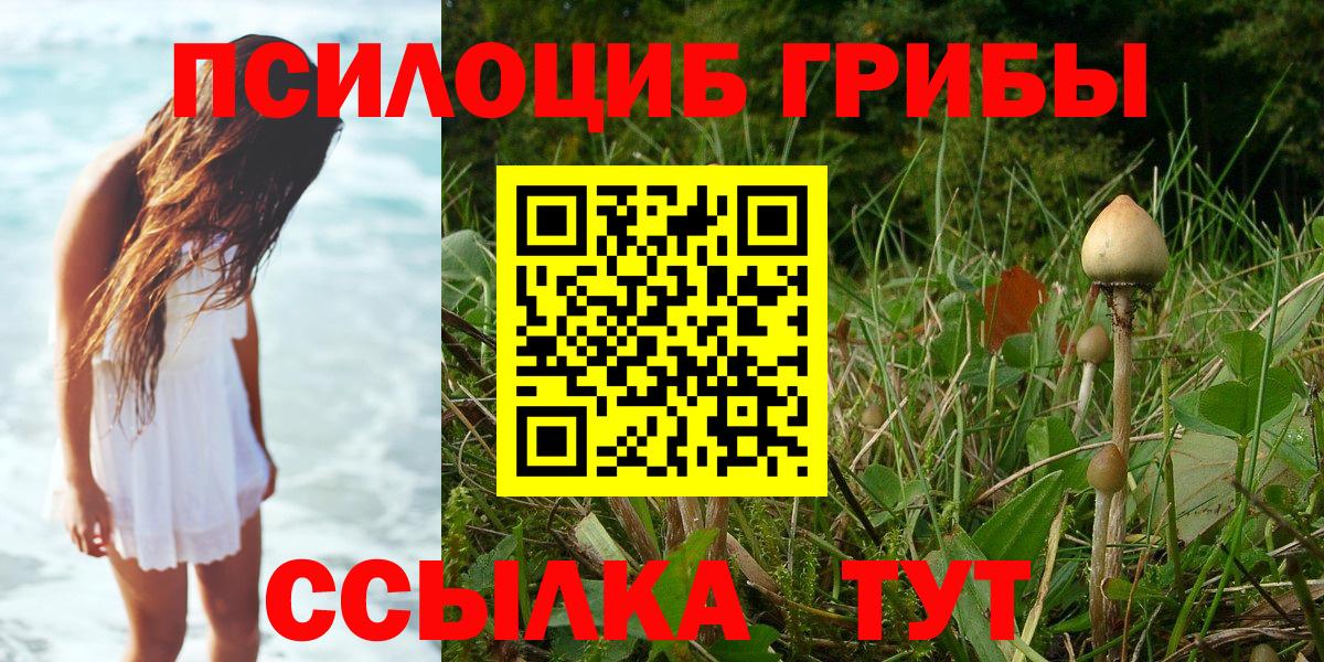 наркота  Псилоцибиновые грибы Magic Shrooms  Вход с VPN  Ростов Великий 