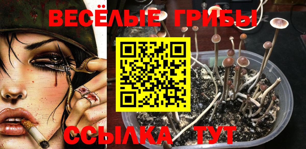 Галлюциногенные грибы прущие грибы Ростов Великий