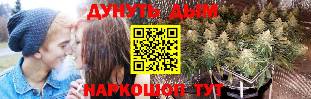 МАРИХУАНА конопля Ростов Великий
